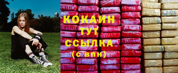 МДПВ Дмитровск