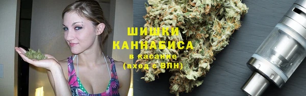 бошки Дмитриев