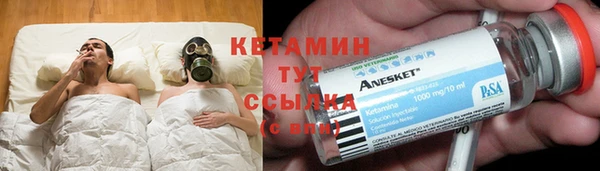 мдпв Ельня