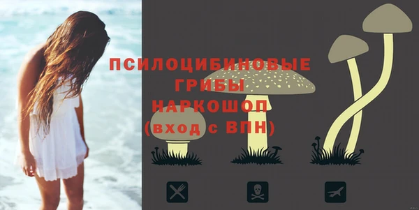 МДПВ Дмитровск