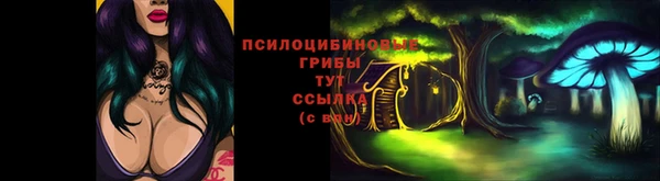 бошки Дмитриев