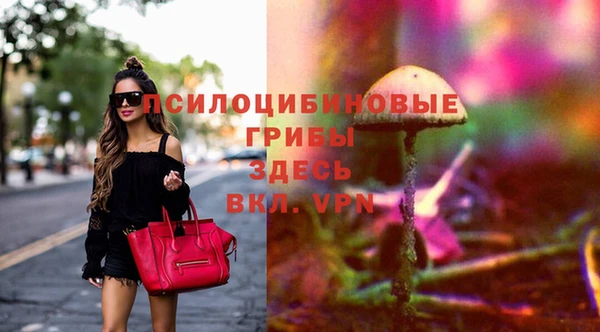 МДПВ Дмитровск