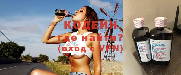 мдпв Ельня