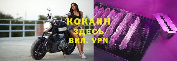 бошки Дмитриев